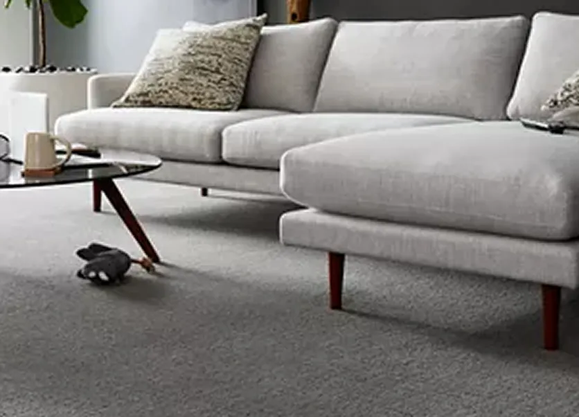 Living room Carpet | Titan Flooring