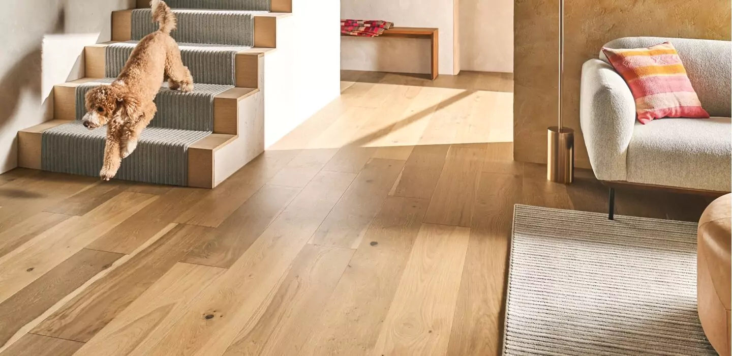 Pet friendly flooring | Titan Flooring